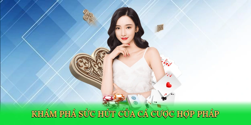 kham-pha-suc-hut-cua-ca-cuoc-hop-phap-3