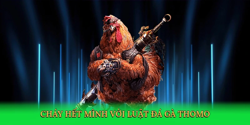 chay-het-minh-voi-luat-da-ga-thomo-2