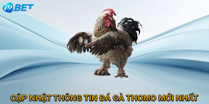 cap-nhat-thong-tin-da-ga-thomo-moi-nhat