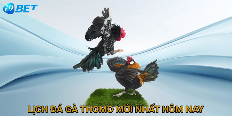 lich-da-ga-thomo-moi-nhat-hom-nay