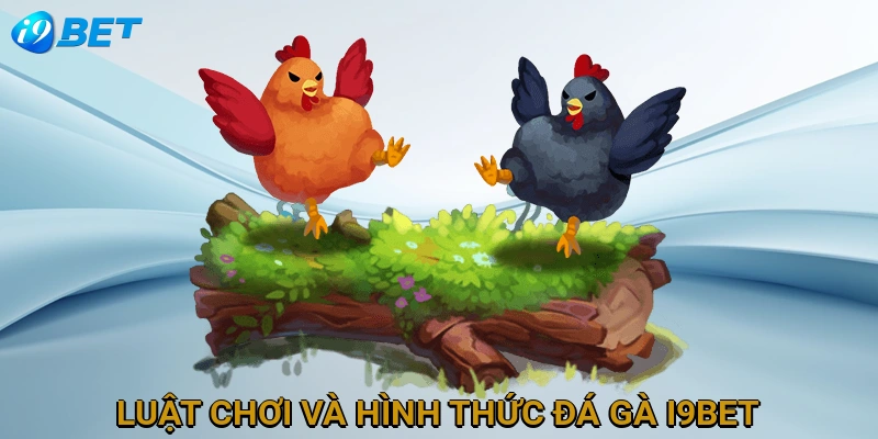 luat-choi-va-hinh-thuc-da-ga-i9bet