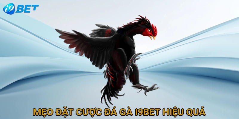 meo-dat-cuoc-da-ga-i9bet-hieu-qua