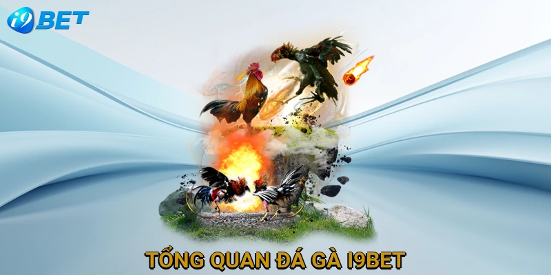 tong-quan-da-ga-i9bet