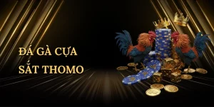 da-ga-cua-sat-thomo-1